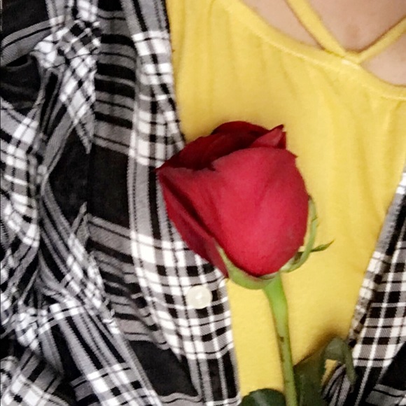 101rose